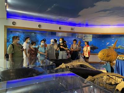 五月广州科普一日游回顾 漫游神奇自然 感受地质变迁