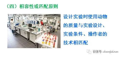 医学SCI临床科研思路培养及国家自然科学基金撰写 聚焦自然科学研究和试验发展