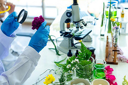 科学发展观与自然科学研究和试验发展的内在统一