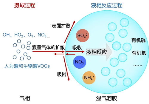 大气气溶胶液态水中二次有机气溶胶生成机制研究进展