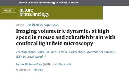 给大脑抓拍个工作照 新技术高速捕捉神经元活动与血流动态